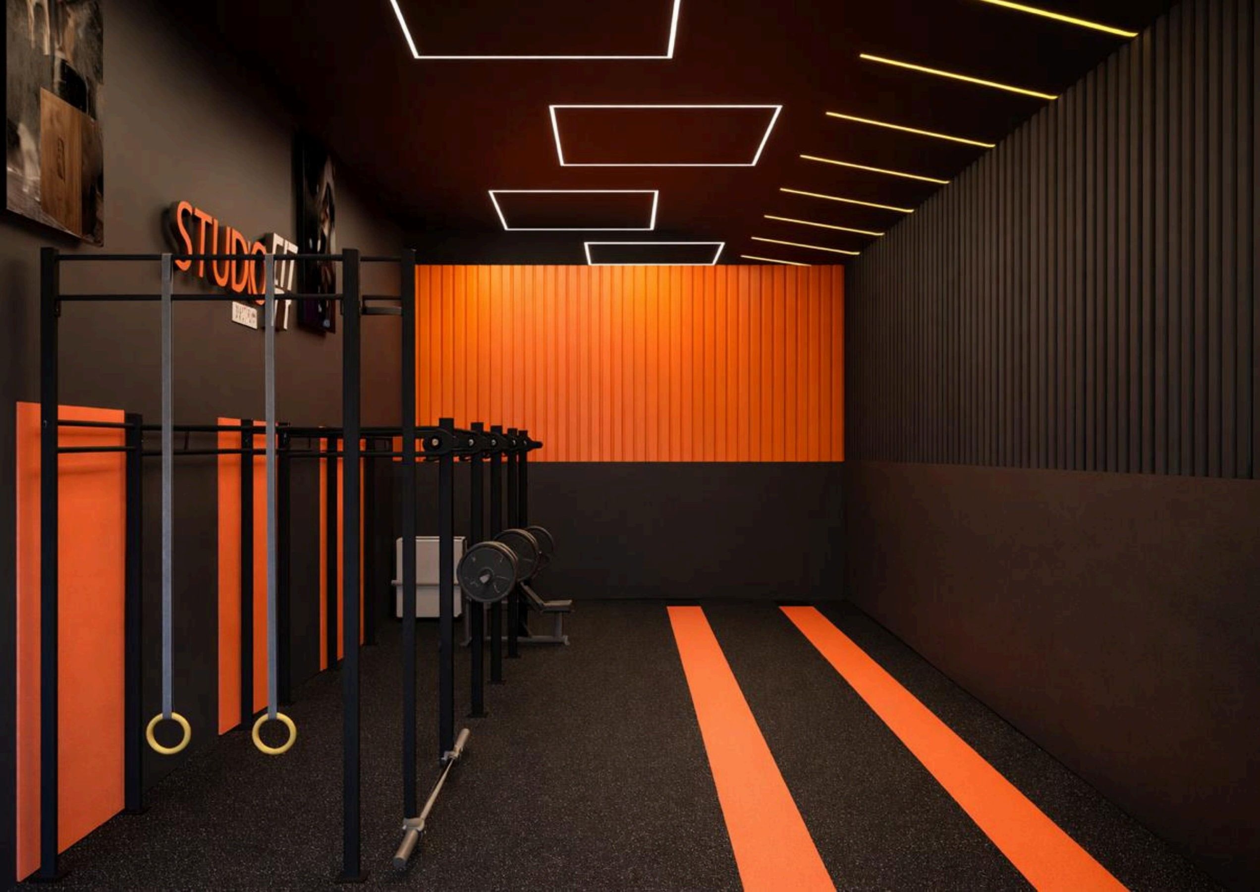Rig de CrossFit